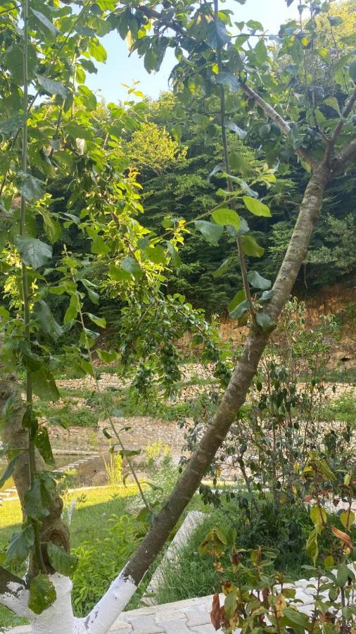 Sosyete Cobani Dogal Yasam Oteli Kandira Exterior foto